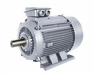 Low voltage motor series