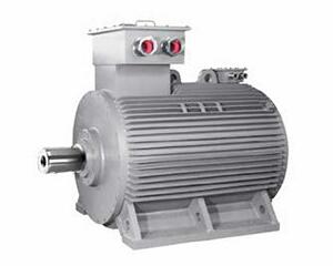 Permanent magnet motor series
