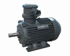 Explosion-proof motor series