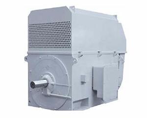 High voltage motor series